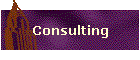 Consulting